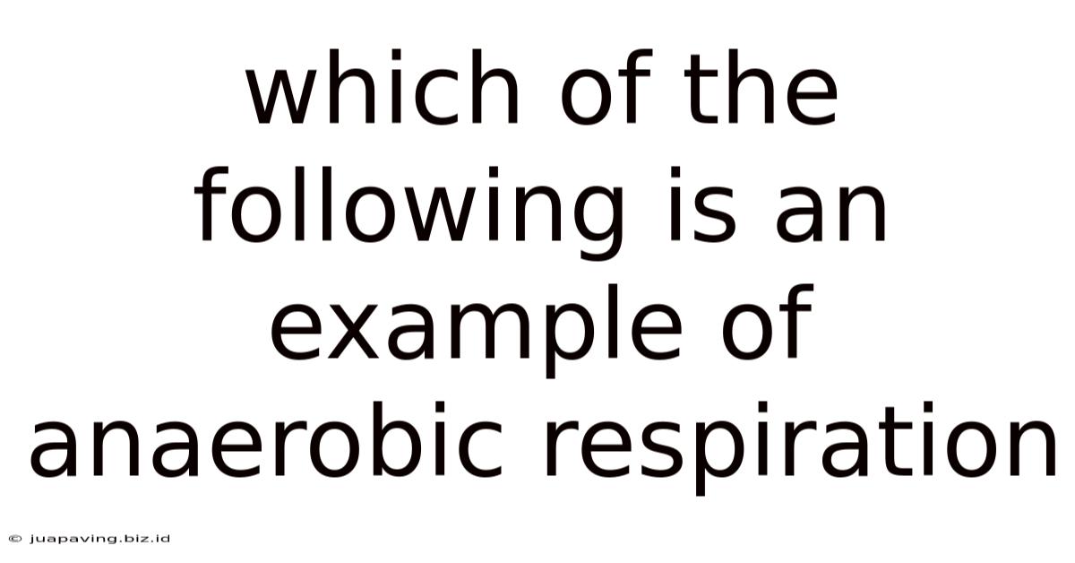 Which Of The Following Is An Example Of Anaerobic Respiration