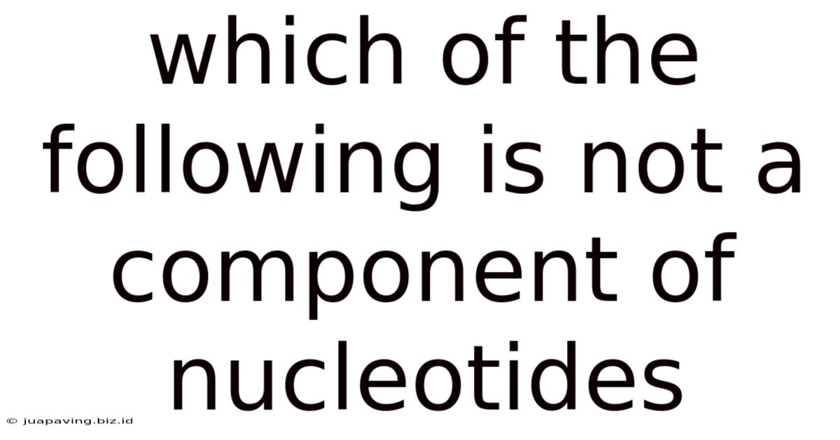 Which Of The Following Is Not A Component Of Nucleotides