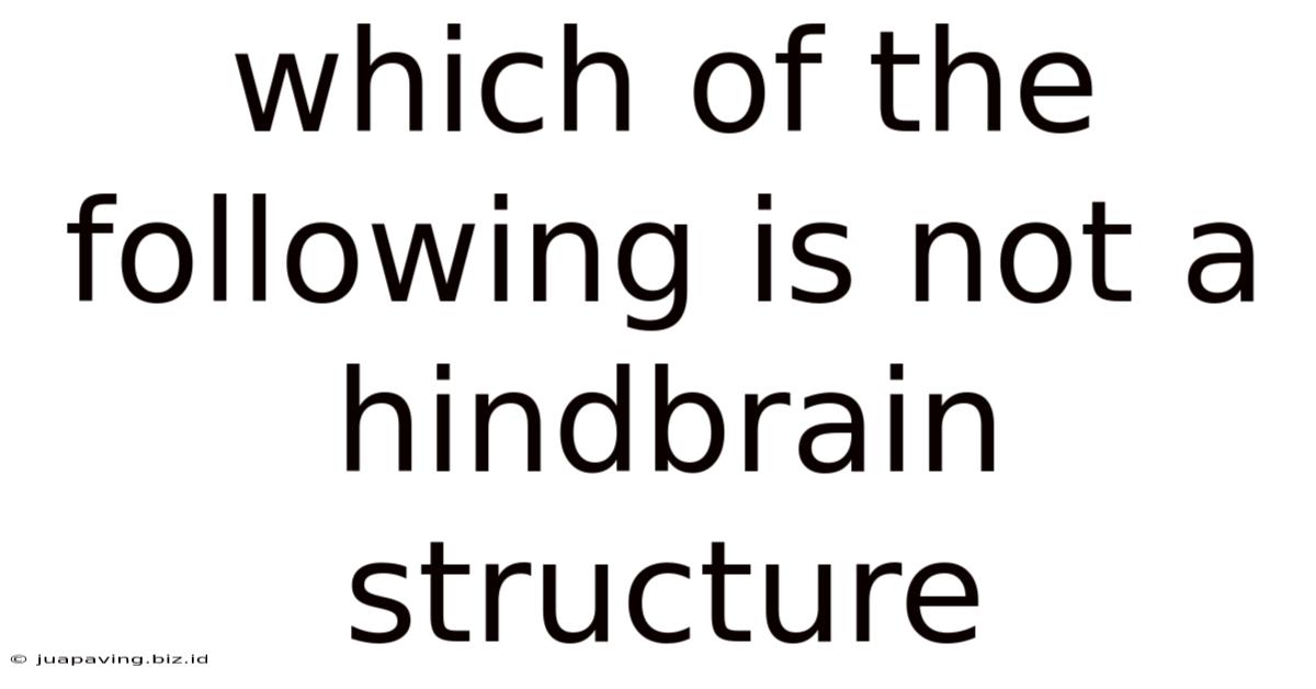 Which Of The Following Is Not A Hindbrain Structure