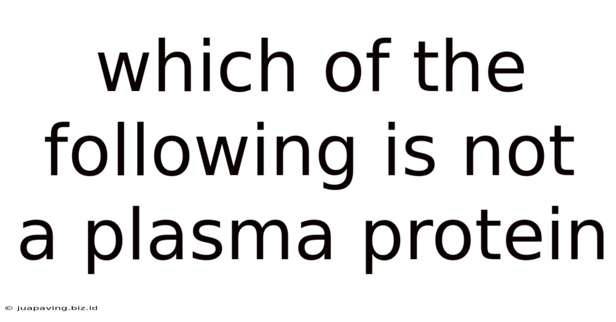 Which Of The Following Is Not A Plasma Protein