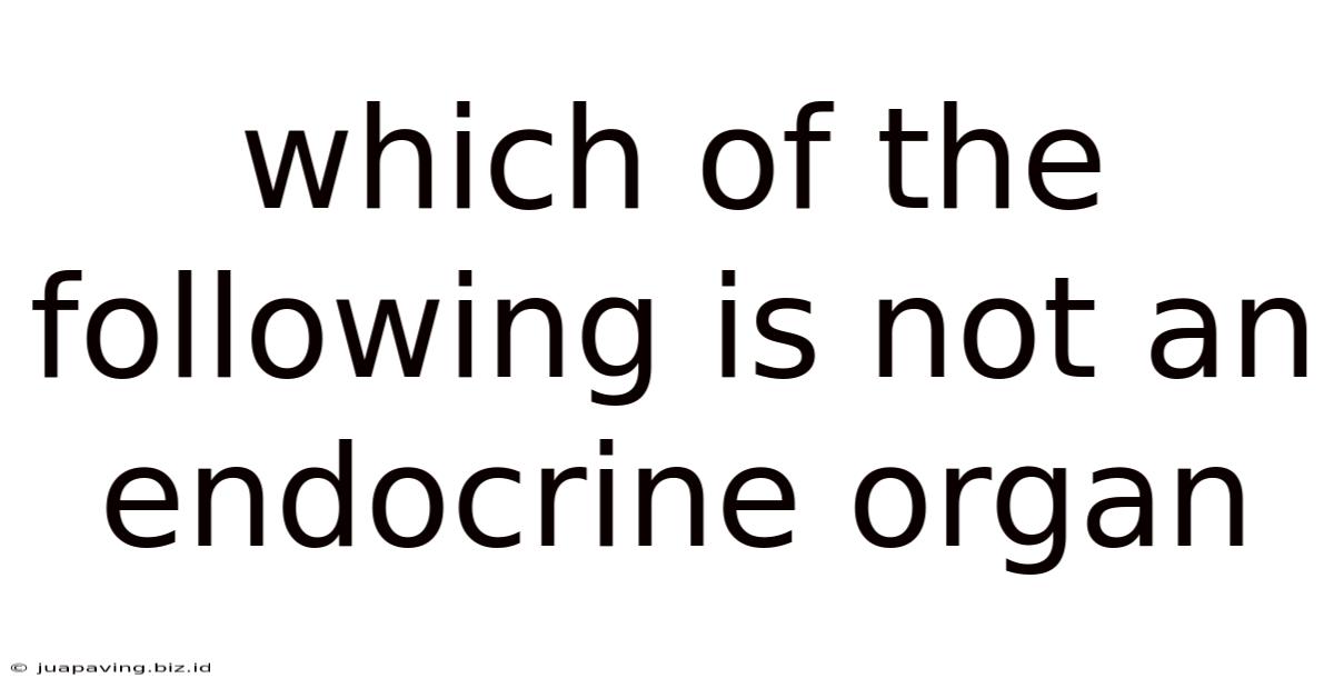 Which Of The Following Is Not An Endocrine Organ