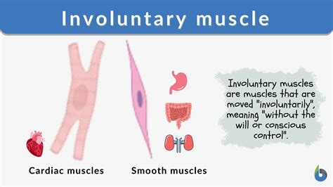 Which Of The Following Is Not An Involuntary Movement