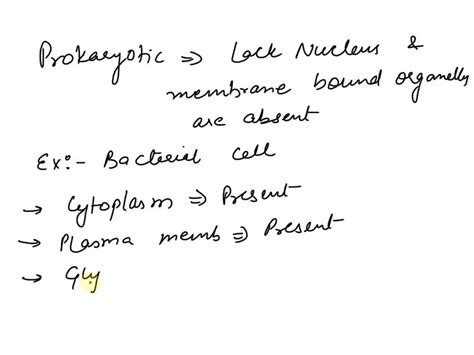 Which Of The Following Is Not Found In Prokaryotic Cells