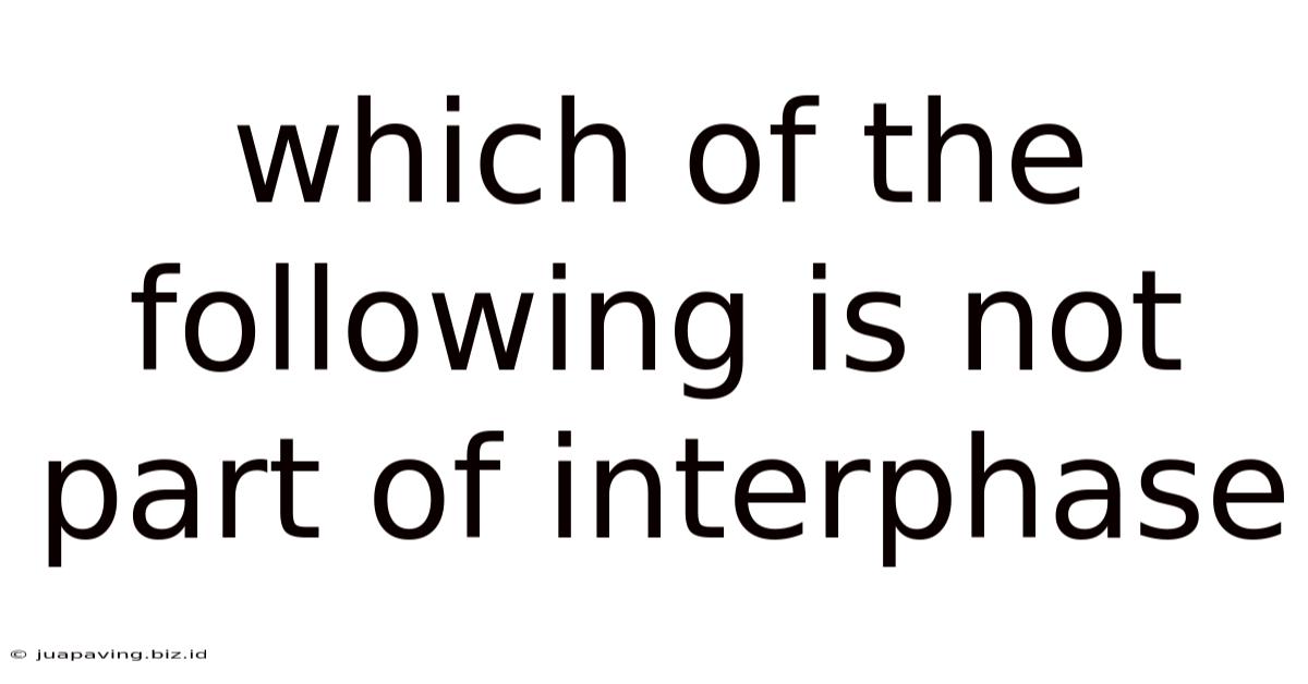 Which Of The Following Is Not Part Of Interphase
