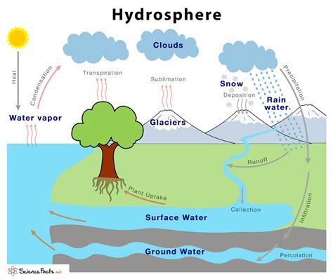 Which Of The Following Is Part Of The Hydrosphere