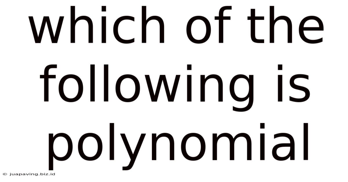 Which Of The Following Is Polynomial