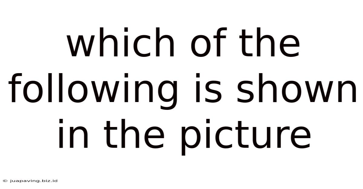 Which Of The Following Is Shown In The Picture