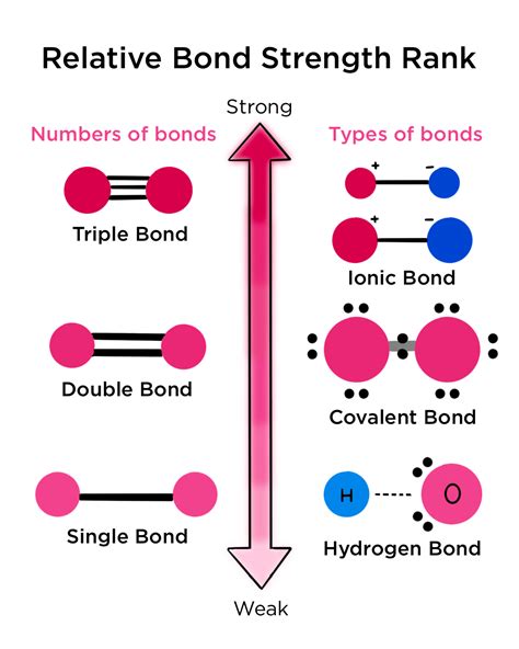 Which Of The Following Is The Strongest Bond