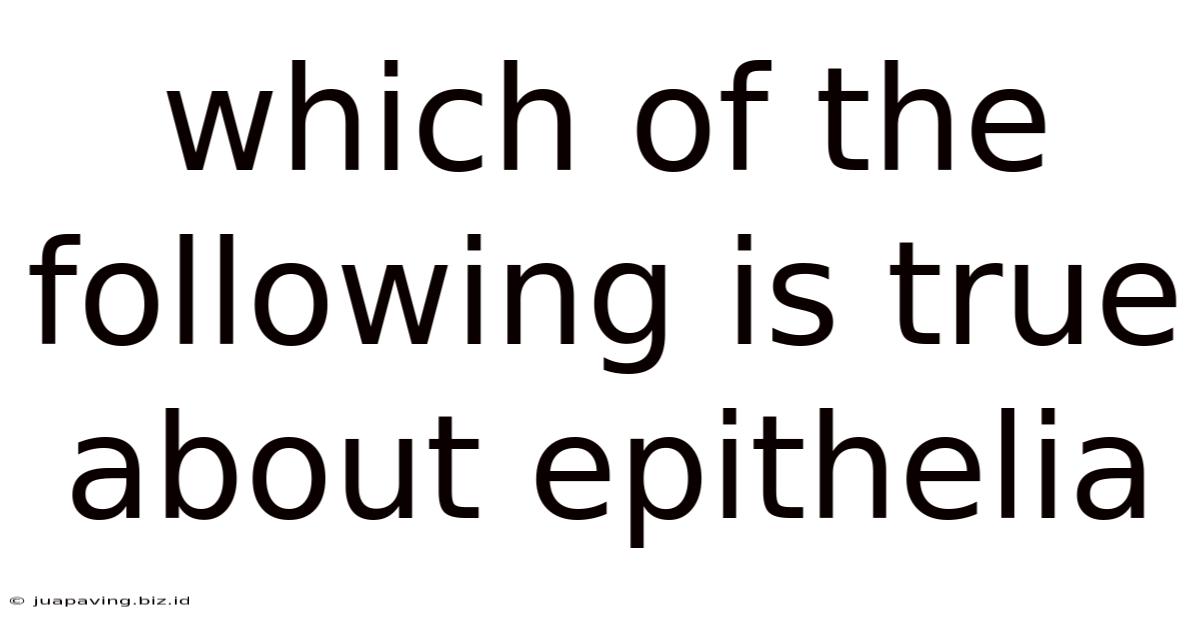 Which Of The Following Is True About Epithelia