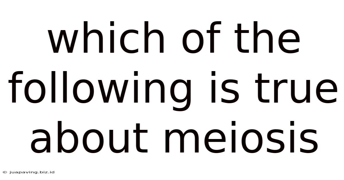Which Of The Following Is True About Meiosis