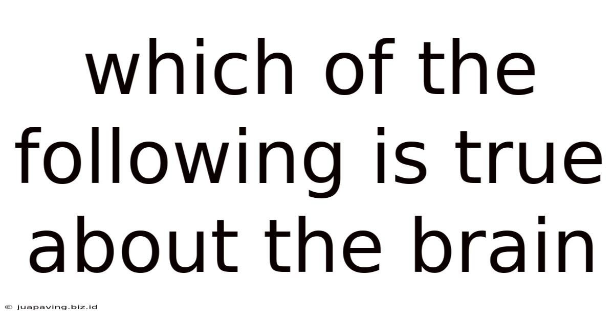 Which Of The Following Is True About The Brain