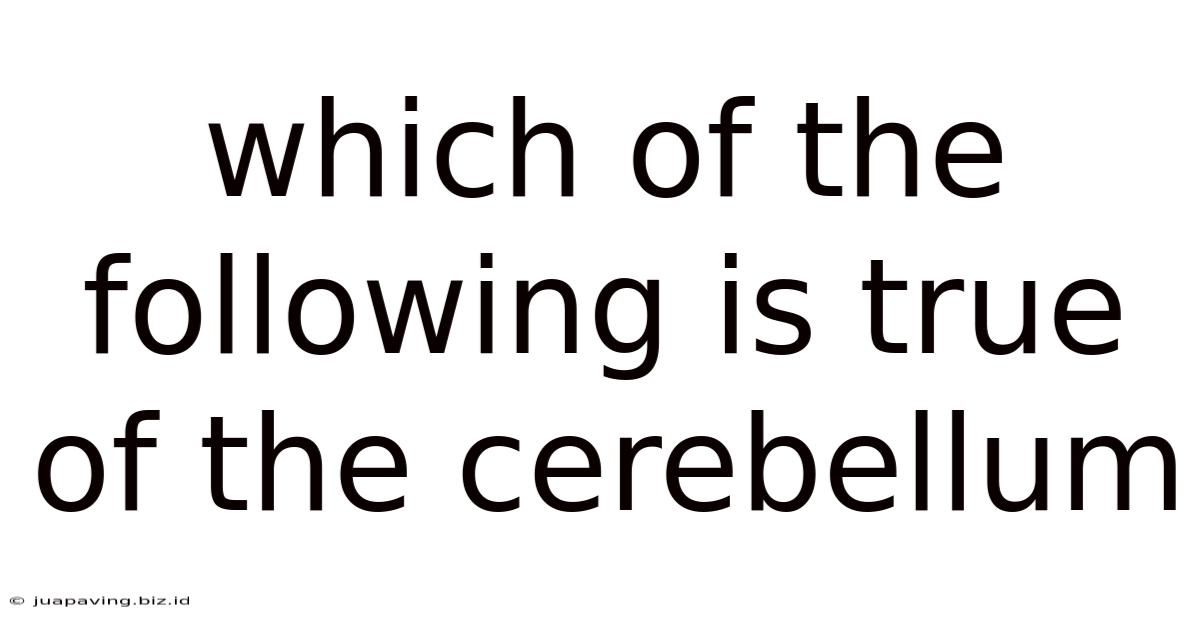 Which Of The Following Is True Of The Cerebellum