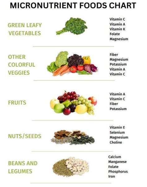 Which Of The Following Nutrients Is A Micronutrient