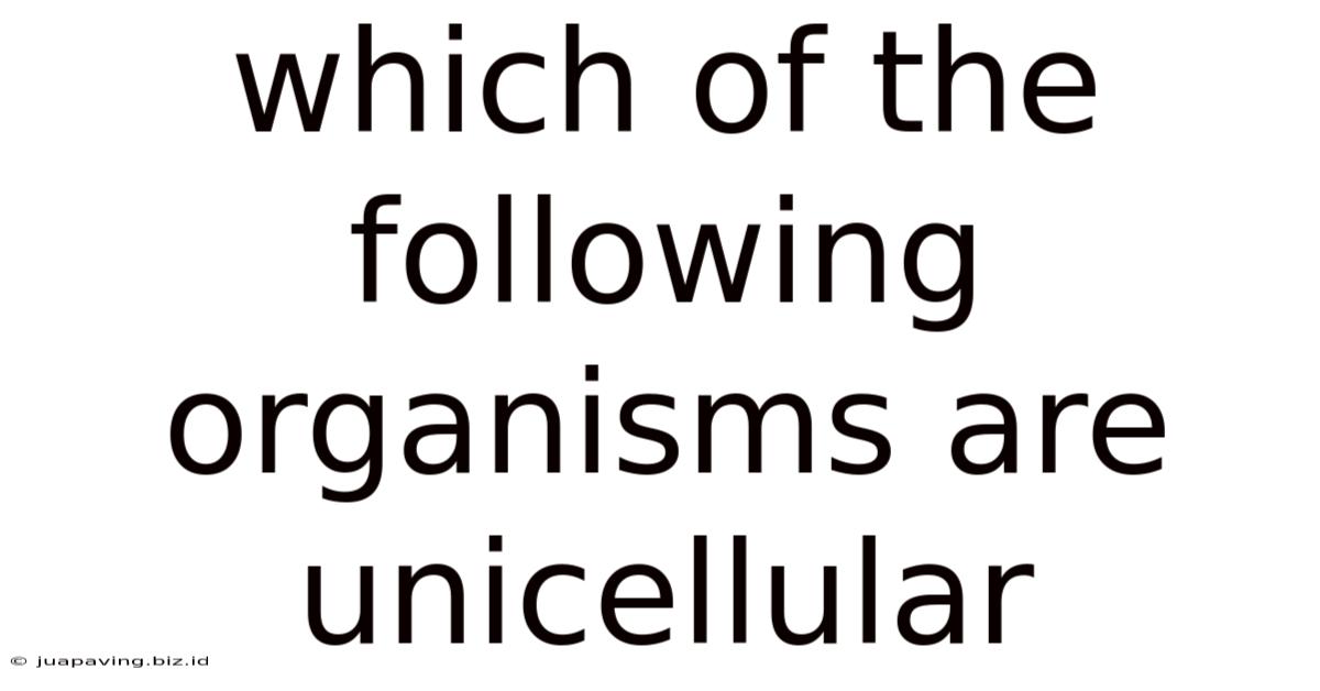 Which Of The Following Organisms Are Unicellular