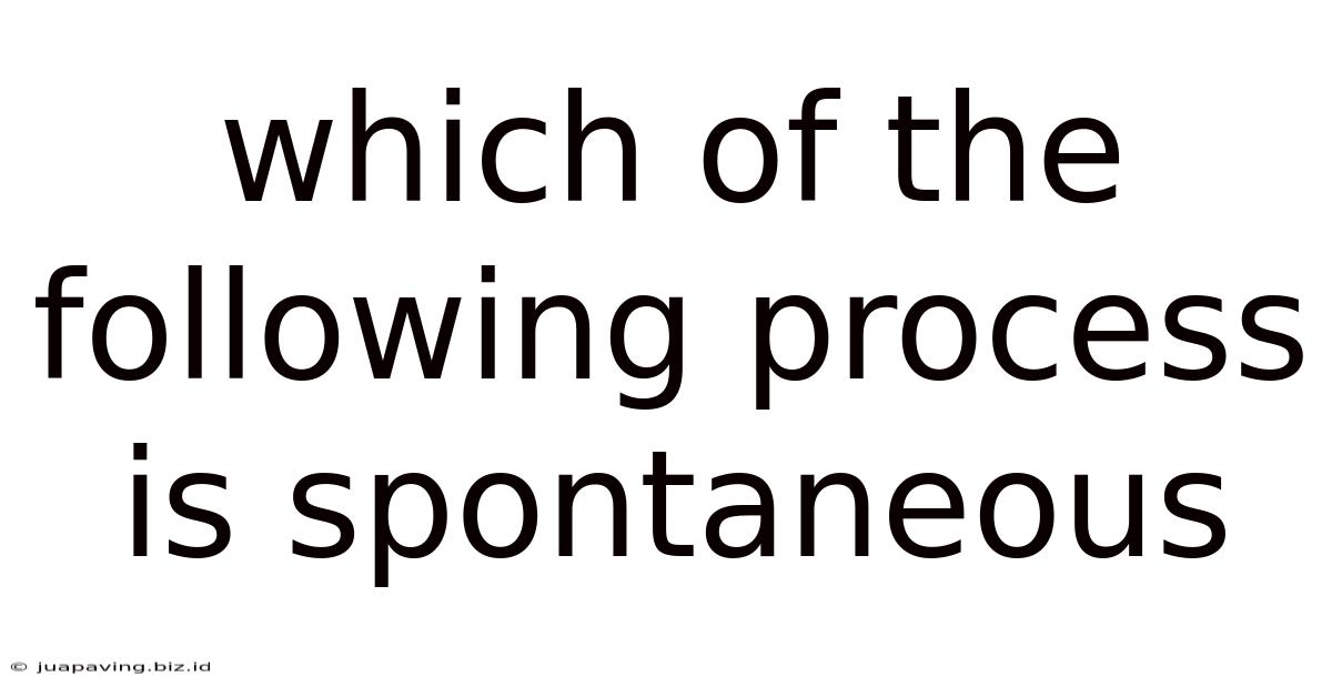 Which Of The Following Process Is Spontaneous