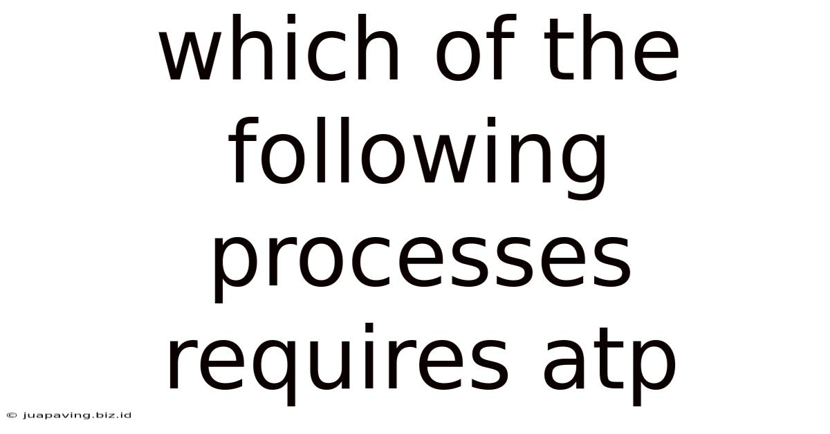 Which Of The Following Processes Requires Atp