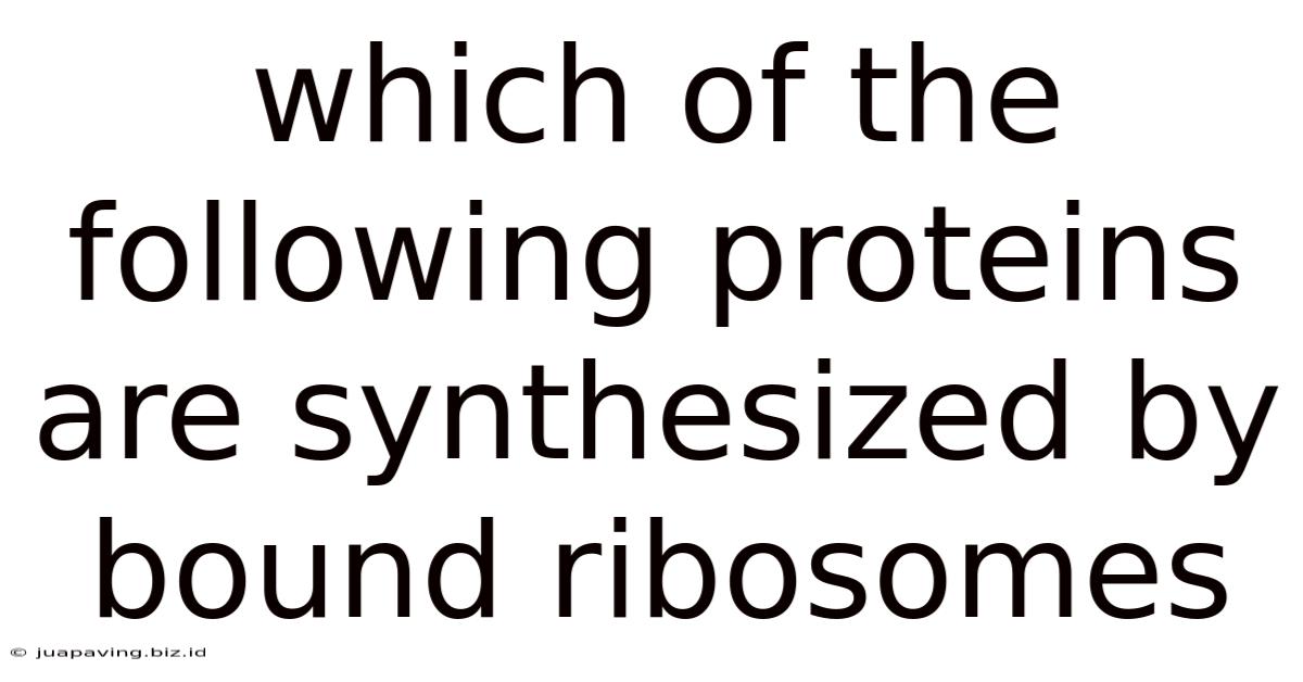 Which Of The Following Proteins Are Synthesized By Bound Ribosomes