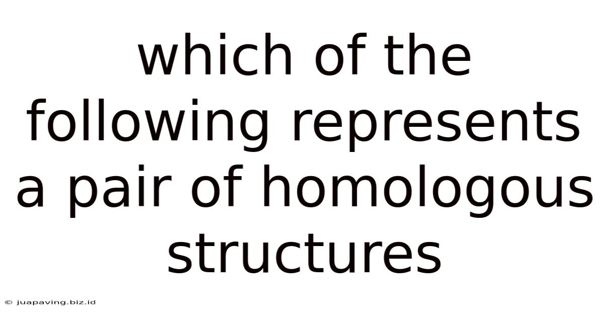 Which Of The Following Represents A Pair Of Homologous Structures