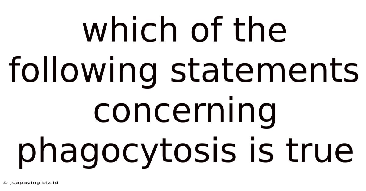 Which Of The Following Statements Concerning Phagocytosis Is True