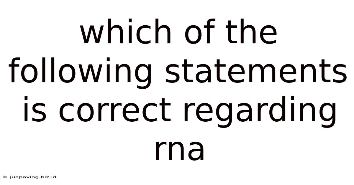Which Of The Following Statements Is Correct Regarding Rna