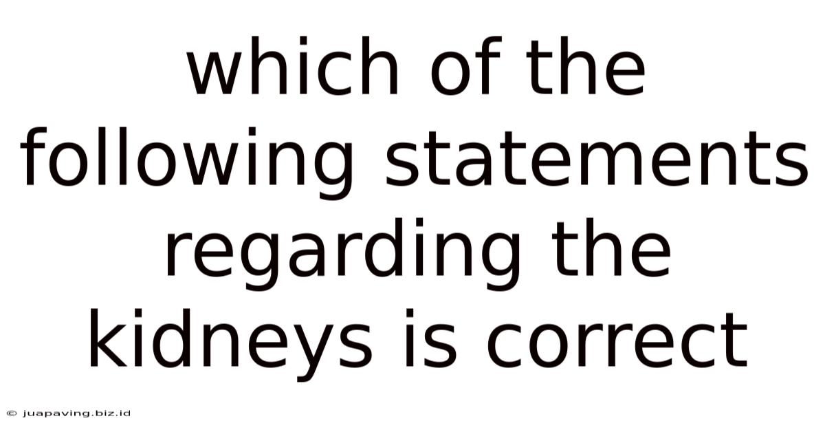 Which Of The Following Statements Regarding The Kidneys Is Correct