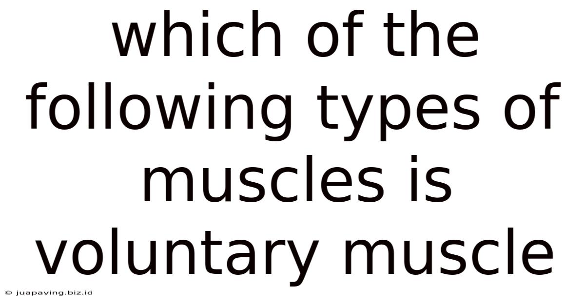 Which Of The Following Types Of Muscles Is Voluntary Muscle
