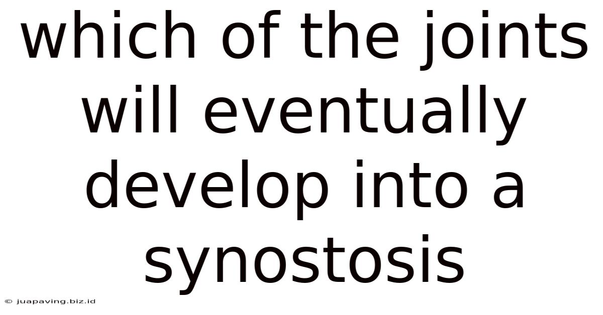 Which Of The Joints Will Eventually Develop Into A Synostosis
