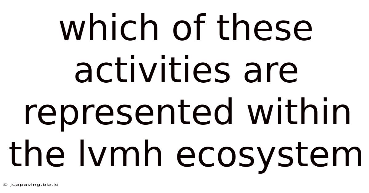 Which Of These Activities Are Represented Within The Lvmh Ecosystem