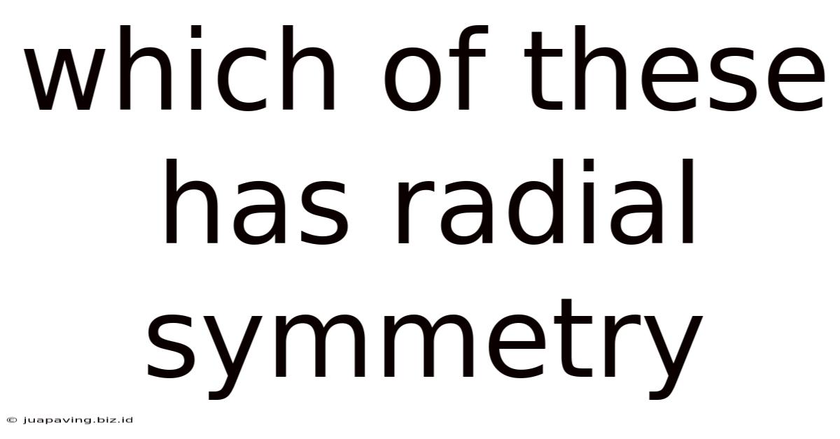 Which Of These Has Radial Symmetry