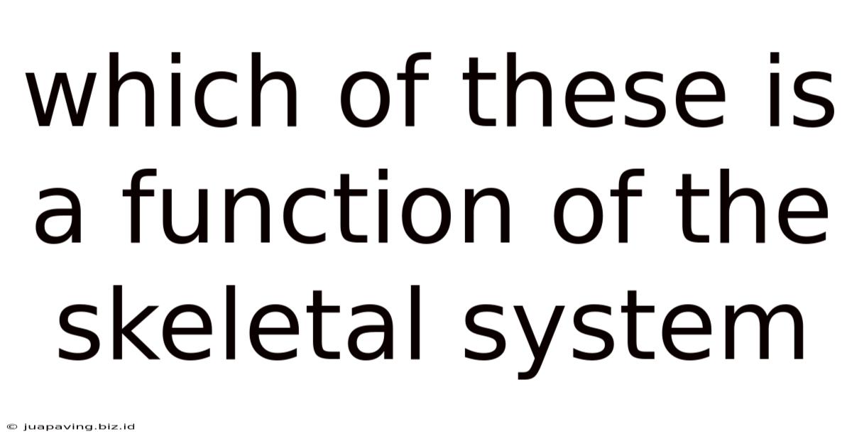 Which Of These Is A Function Of The Skeletal System