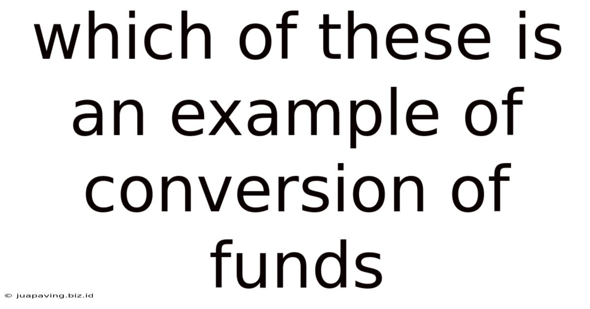 Which Of These Is An Example Of Conversion Of Funds
