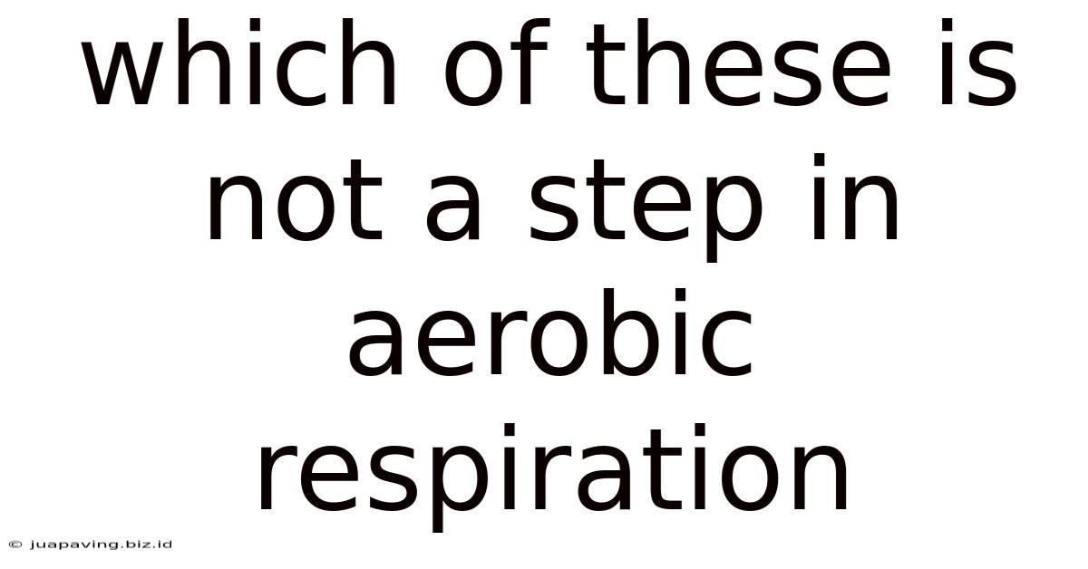 Which Of These Is Not A Step In Aerobic Respiration
