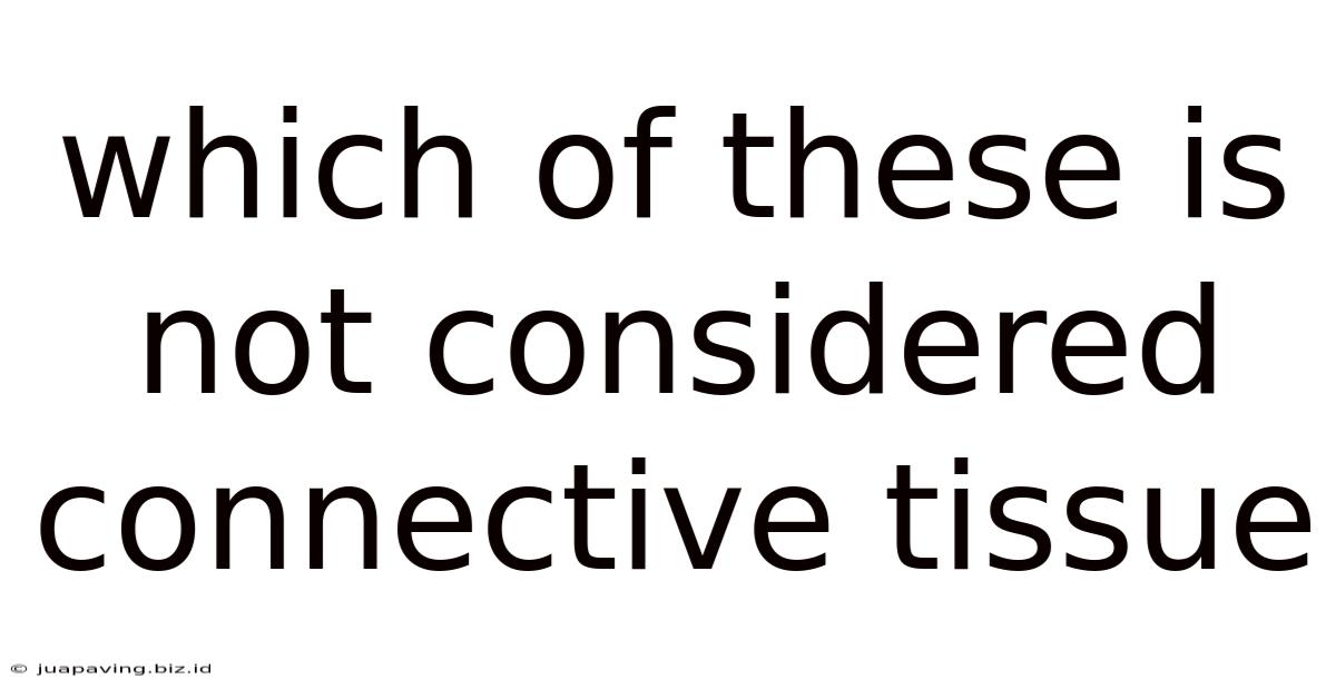Which Of These Is Not Considered Connective Tissue