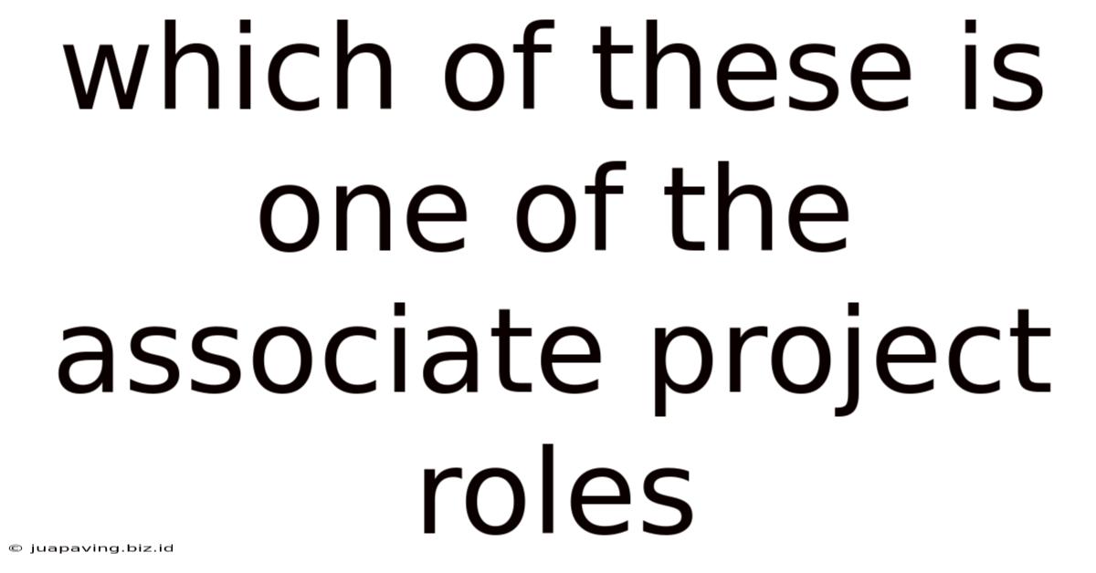 Which Of These Is One Of The Associate Project Roles