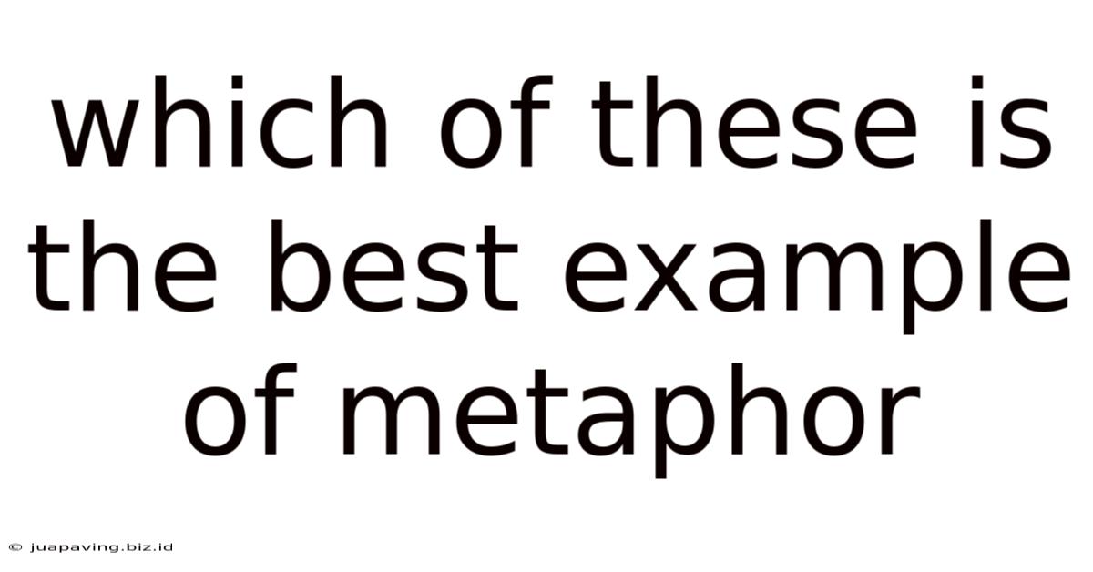 Which Of These Is The Best Example Of Metaphor