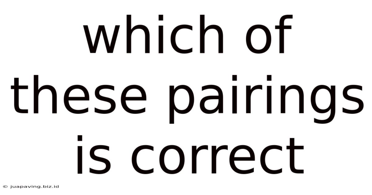 Which Of These Pairings Is Correct