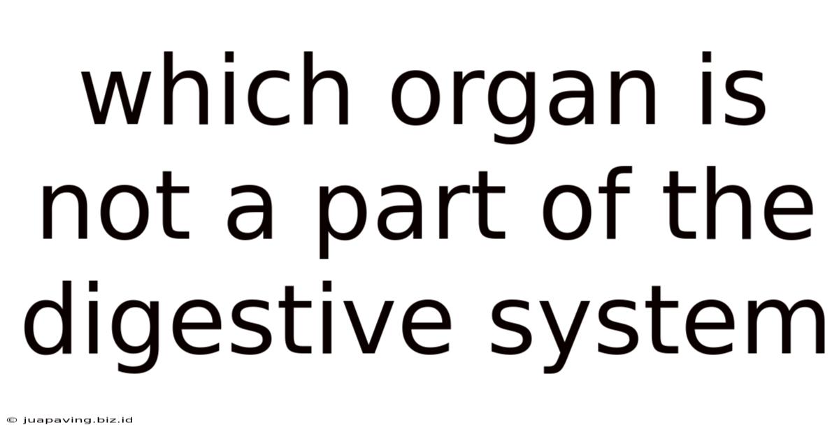 Which Organ Is Not A Part Of The Digestive System