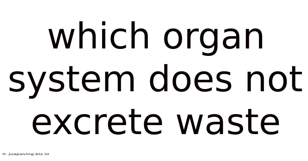 Which Organ System Does Not Excrete Waste