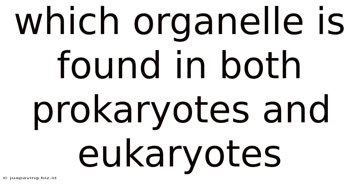 Which Organelle Is Found In Both Prokaryotes And Eukaryotes