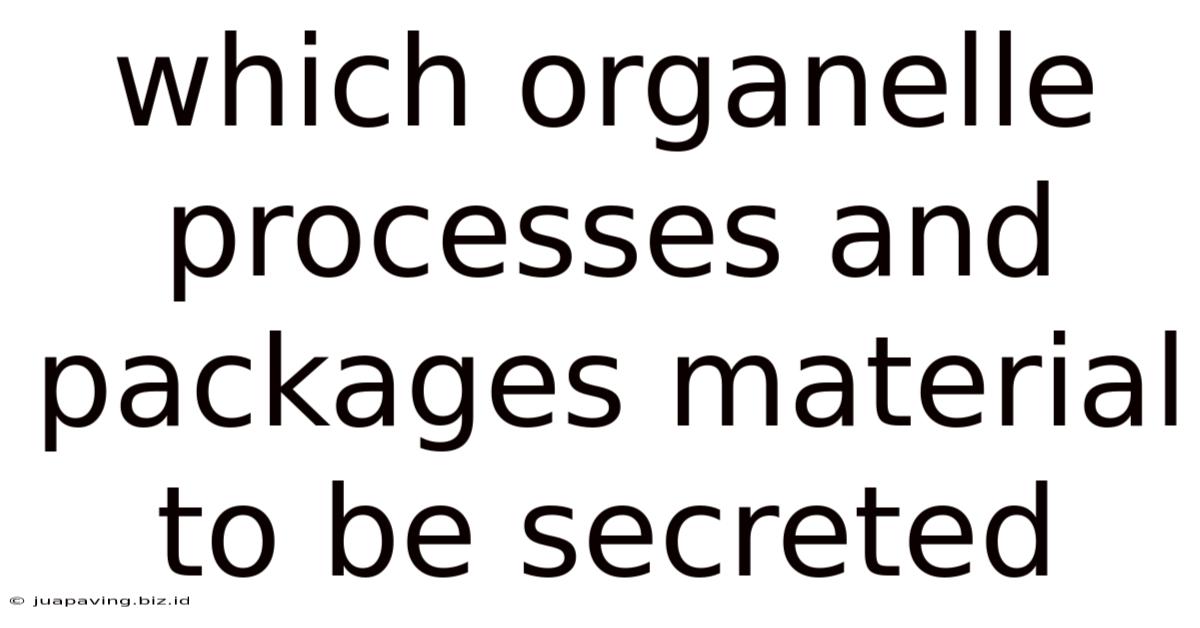 Which Organelle Processes And Packages Material To Be Secreted