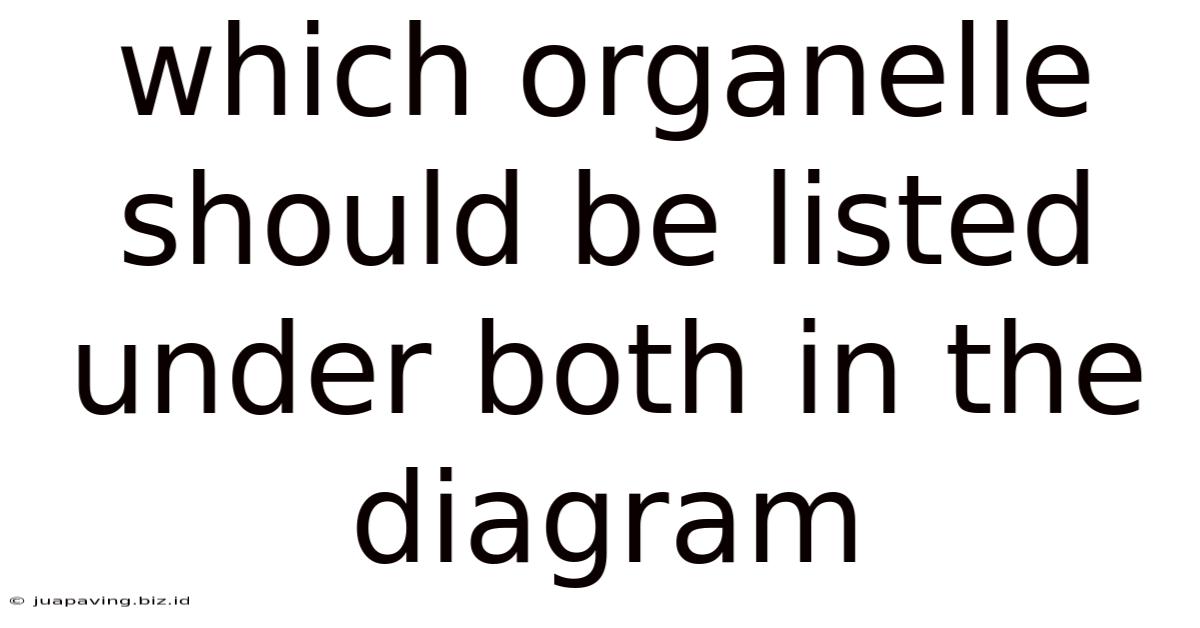 Which Organelle Should Be Listed Under Both In The Diagram