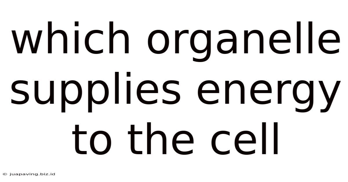 Which Organelle Supplies Energy To The Cell