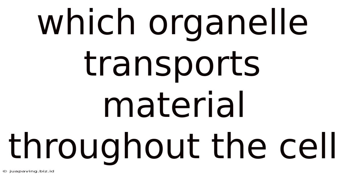 Which Organelle Transports Material Throughout The Cell
