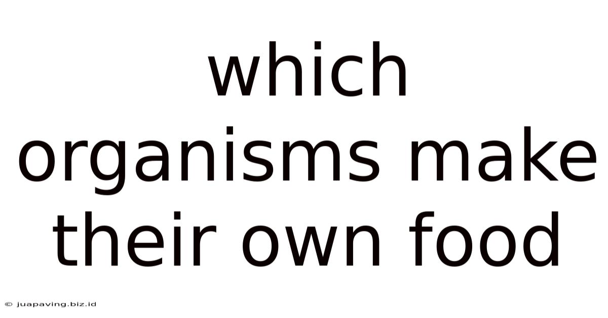Which Organisms Make Their Own Food