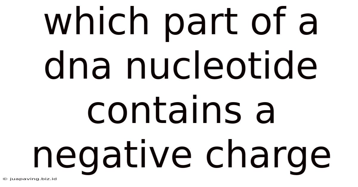 Which Part Of A Dna Nucleotide Contains A Negative Charge