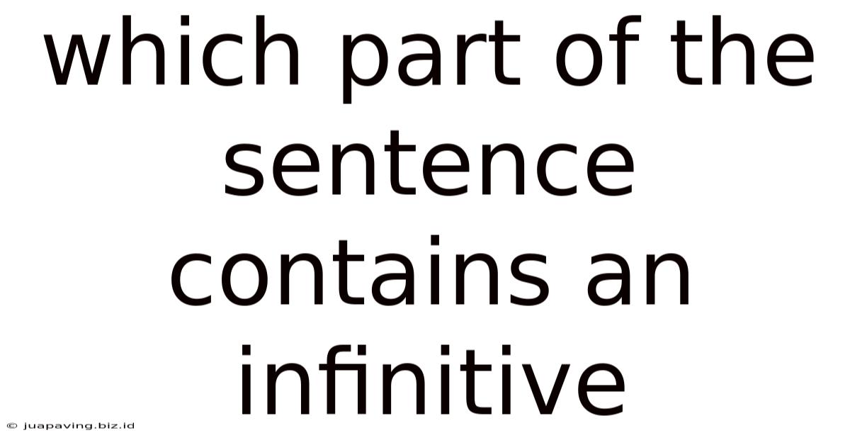 Which Part Of The Sentence Contains An Infinitive