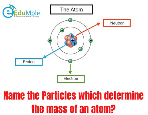 Which Particles Account For The Mass Of The Atom