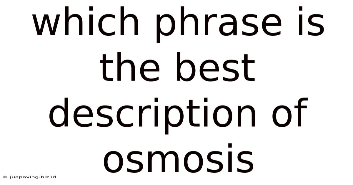 Which Phrase Is The Best Description Of Osmosis