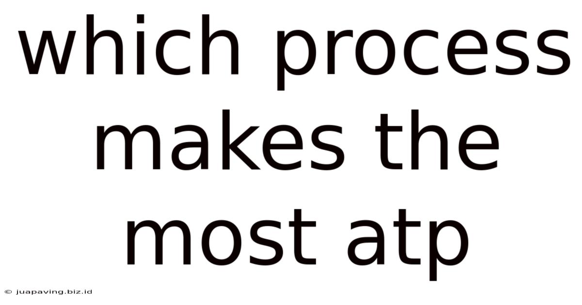 Which Process Makes The Most Atp