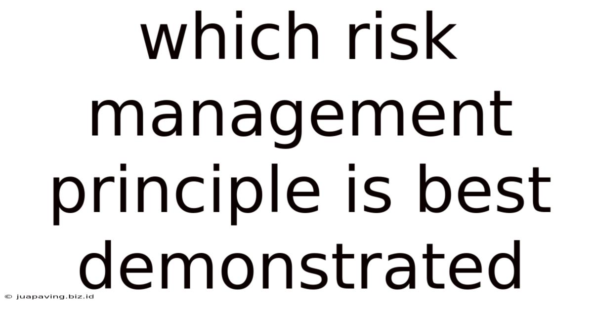 Which Risk Management Principle Is Best Demonstrated